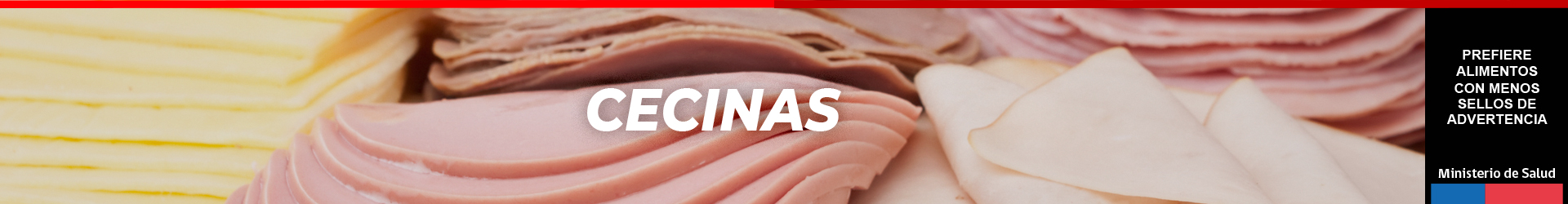 Cecinas